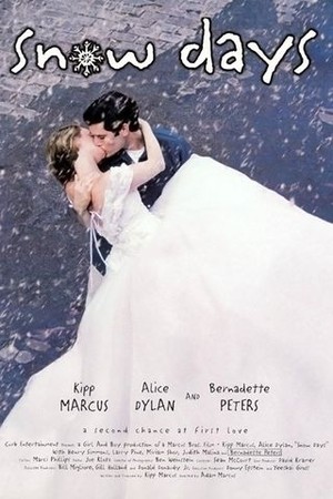 Snow Days poster