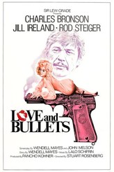 殺人のはらわた / Love and Bullets