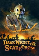 Dark Night of the Scarecrow poster image