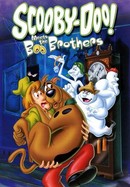 Scooby-Doo Meets the Boo Brothers poster image