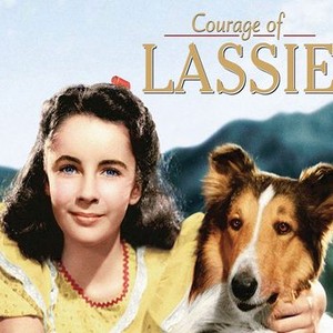 Buy Lassie - A Christmas Tale (2005) DVD