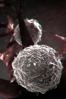 Monsters Inside Me: Season 1 | Rotten Tomatoes