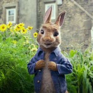 Peter Rabbit photo 5