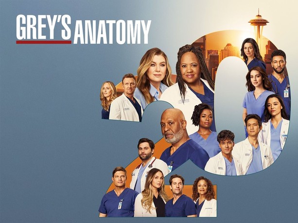 Full Cast Watch Greys Anatomy Season 14 Episode 14 Chandra Wilson