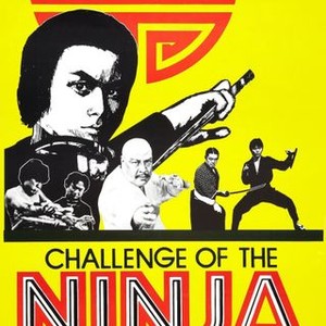 Challenge of the Ninja photo 10
