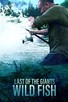 Poster for 