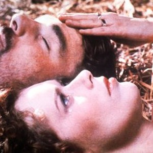 Lady Chatterley's Lover (1981) photo 4