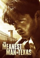 The Meanest Man in Texas poster image