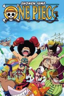 one piece season 1 dvd