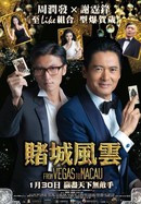 The Man From Macau poster image