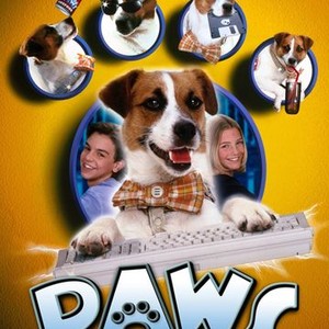 Paws photo 3