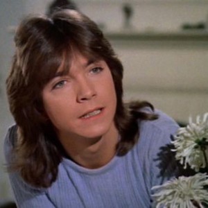 The Partridge Family: Season 2, Episode 17 - Rotten Tomatoes