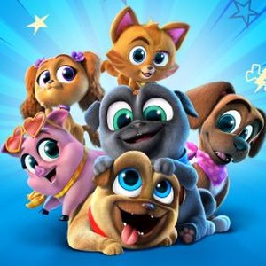 what kind of dog is cupcake on puppy dog pals