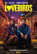 The Lovebirds poster image