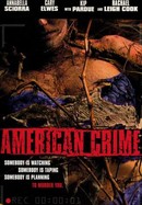 American Crime poster image