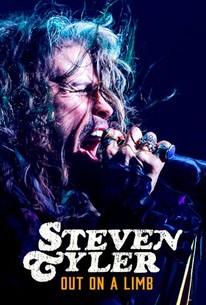 Steven Tyler: Out on a Limb