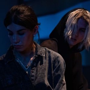 Taurus - Rotten Tomatoes
