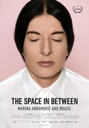 The Space in Between: Marina Abramovic and Brazil poster image