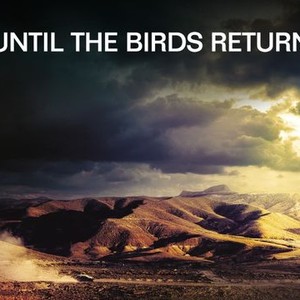 Until the Birds Return photo 1