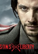 Sons of Liberty poster image