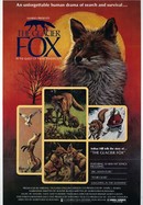 The Glacier Fox poster image