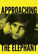 Approaching the Elephant poster image