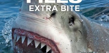 Shark Attack  Rotten Tomatoes