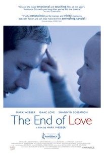 The End Of Love 13 Rotten Tomatoes