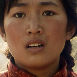 The Story of Qiu Ju (1992) photo 3