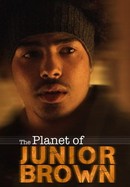 The Planet of Junior Brown poster image