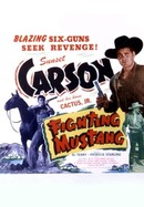 Fighting Mustang poster image