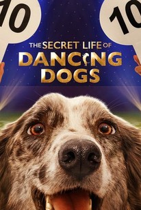 A dog's life online rotten tomatoes