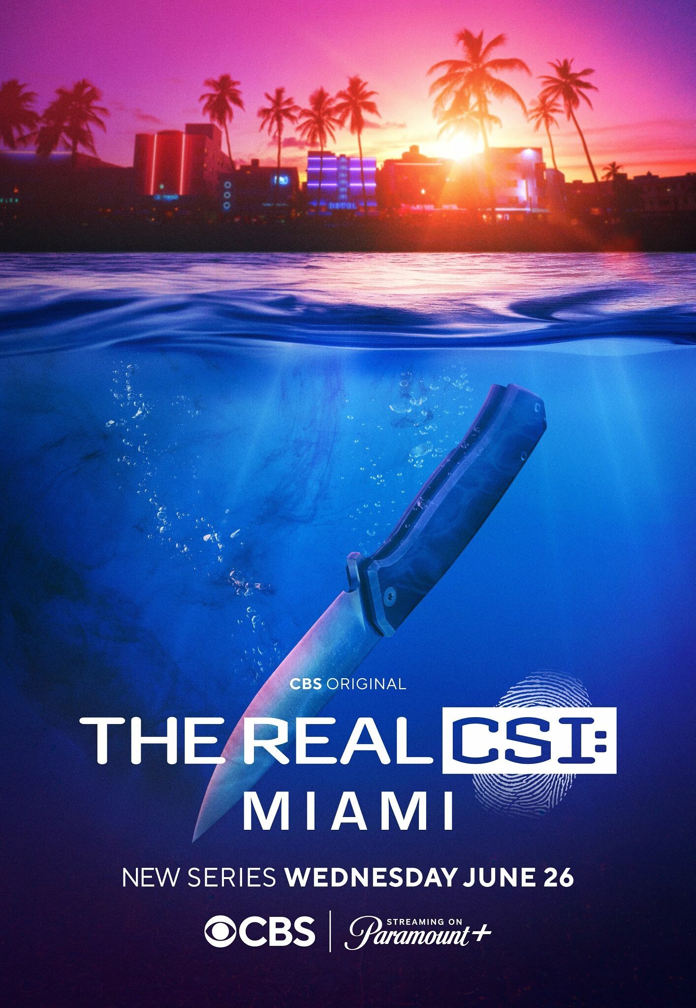 The Real CSI: Miami | Rotten Tomatoes