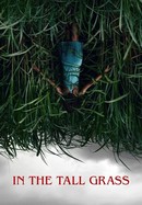 In the Tall Grass poster image