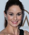 Sarah Wayne Callies