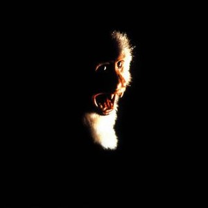 Watch outbreak online free cheap