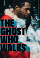 The Ghost Who Walks poster image