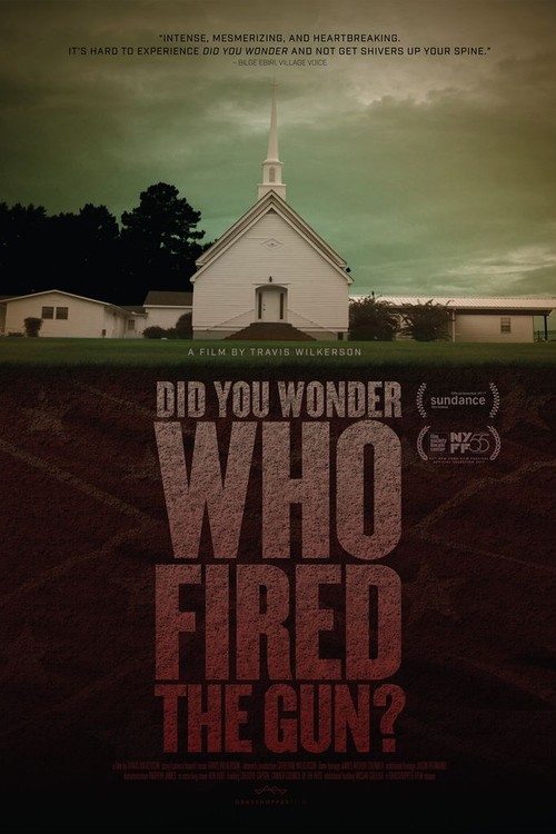 Did You Wonder Who Fired the Gun? poster