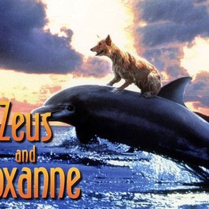 Zeus and Roxanne photo 11