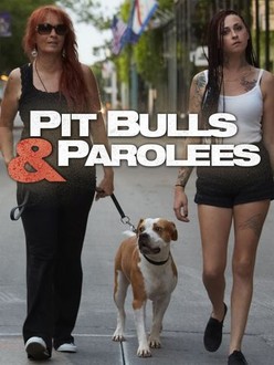 Pit Bulls and Parolees Season 4 Rotten Tomatoes