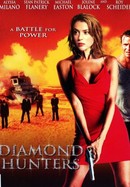 Diamond Hunters poster image