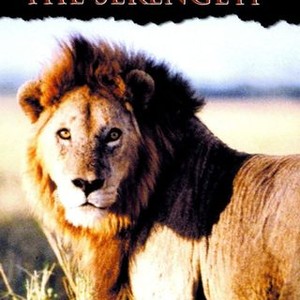Africa: The Serengeti (1994) photo 10