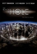 The Black Hole poster image