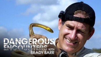 Dangerous Encounters With Brady Barr | Rotten Tomatoes