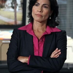 Rachel Ticotin as Lieutenant Arleen Gonzalez