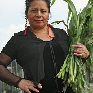 The Garden (2008) photo 19