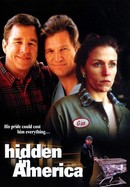 Hidden in America poster image