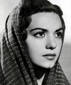 Rosa de Castilla