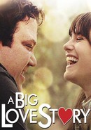 A Big Love Story poster image