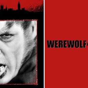 The Werewolf of London photo 8